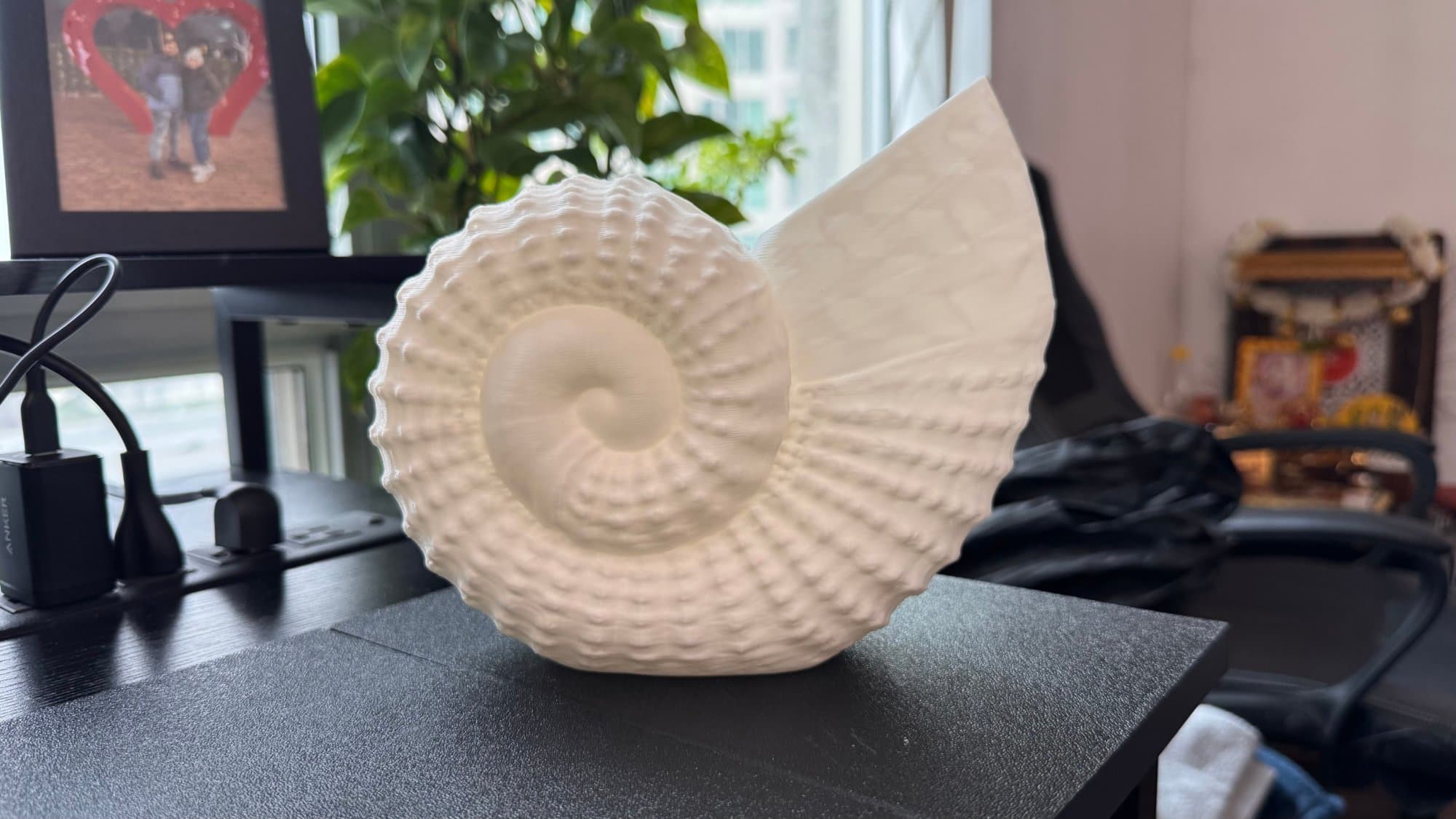 Nautilus Spiral